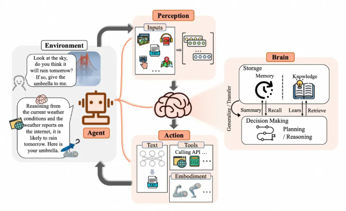 image-20250818142127269